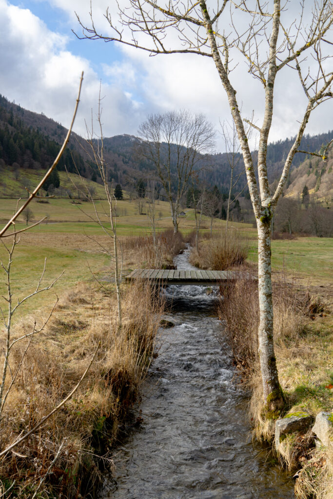 Weihnachtsreise, photo 1